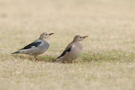 夜?雨林——雨林深處秘境探訪