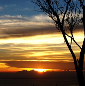 夜?雨林——雨林深處秘境探訪